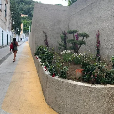 Guest house Il Capriccio Di Maria 2*