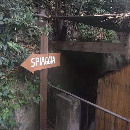 Il Capriccio Di Maria 2*